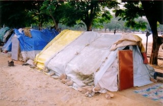 Picture of Huts that these poor people live